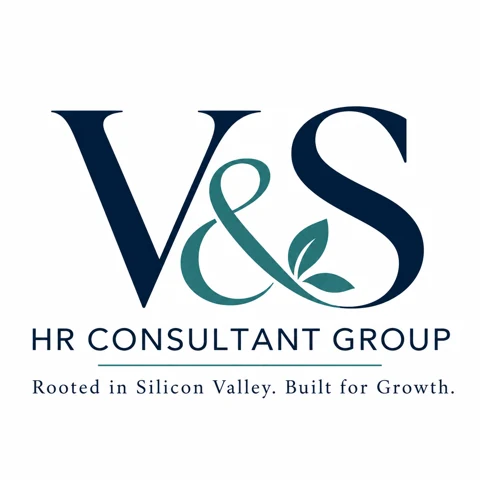 V&S HR Consultant Group logo